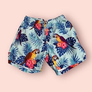 (4) Ring of Fire Parrot and palm leaf print swim trunks